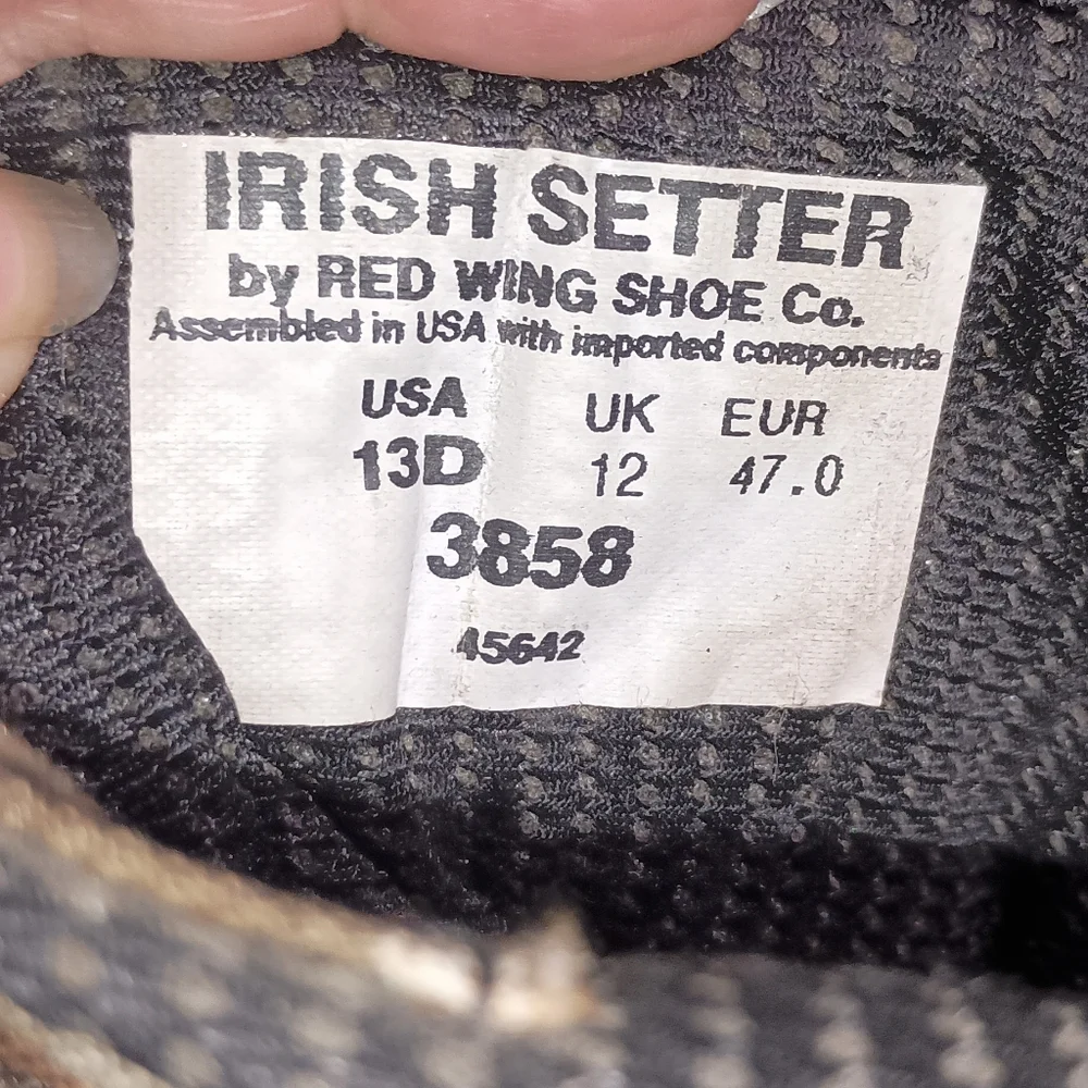 Irish Setter no offers